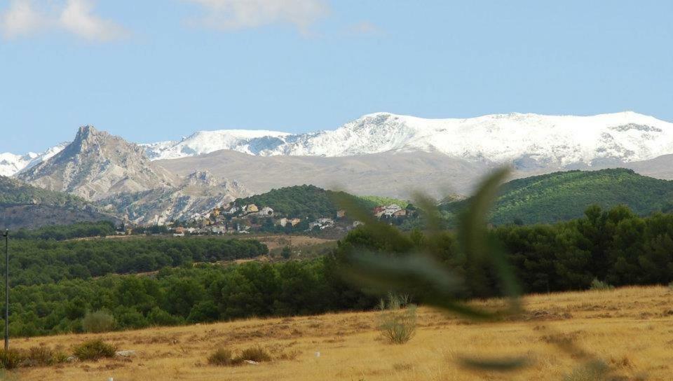 El Rincon De Pepa Apartamento La Zubia  Exterior foto